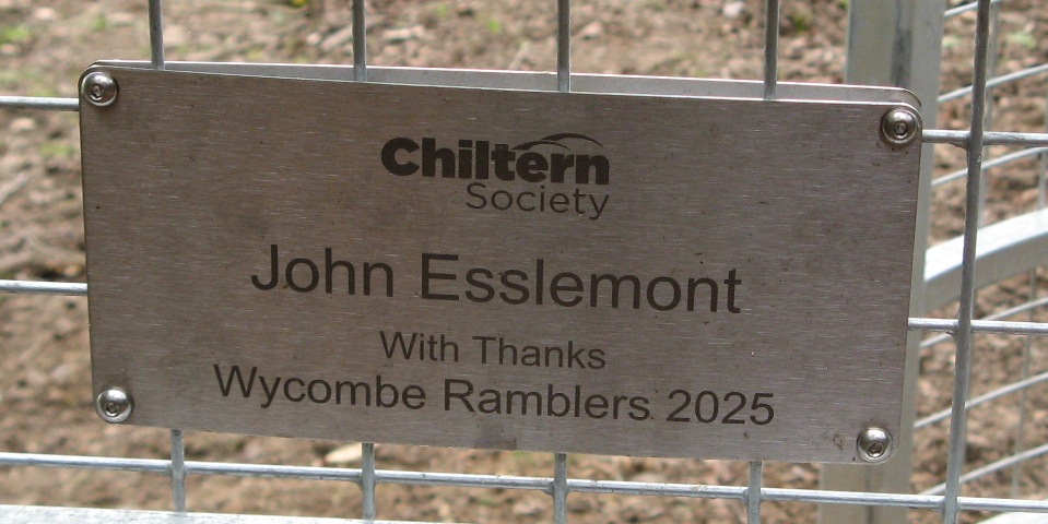 2 plaque